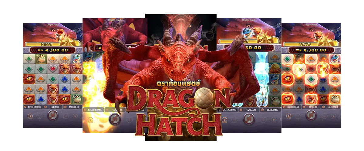 รูปแบบตัวเกม Dragon Hatch